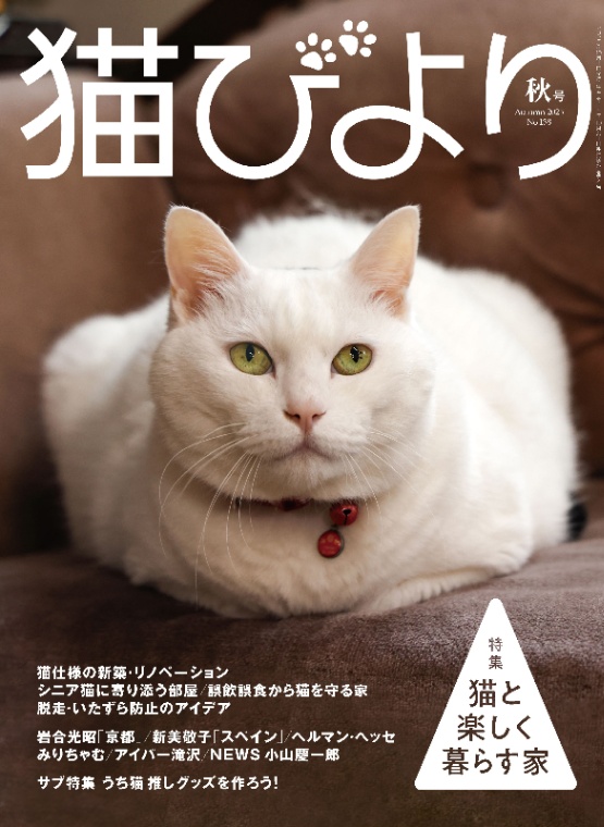 猫びより